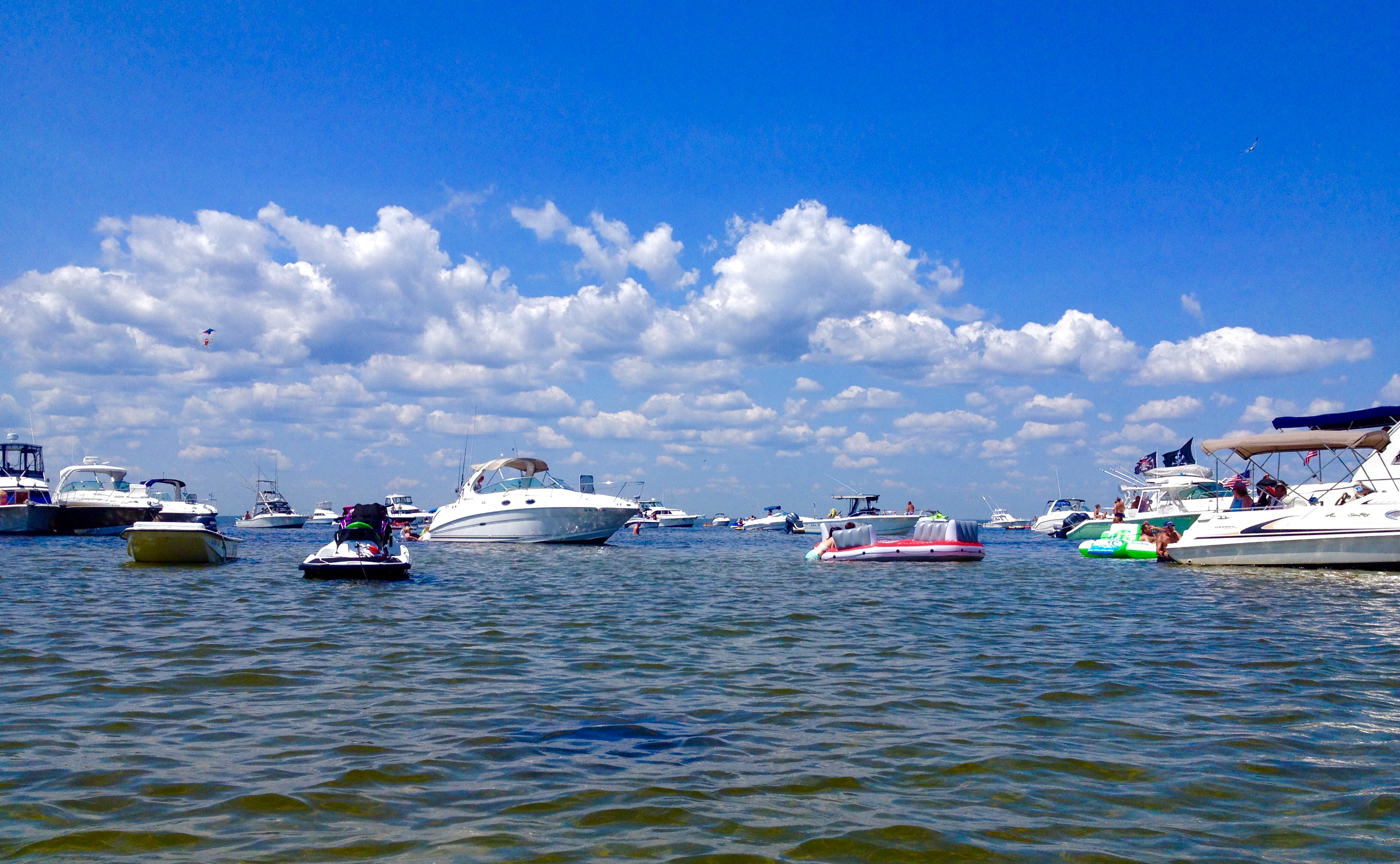 Tices Shoal in Aug. 2014. (Photo: Justin Auciello/JSHN) 