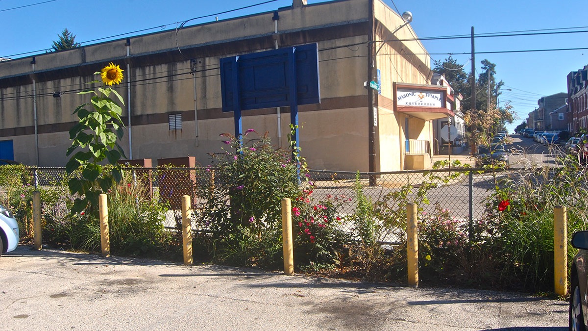  A view of the garden. (Emily Brooks/for NewsWorks) 