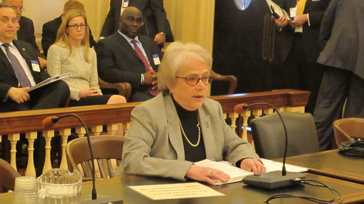 College of New Jersey President Barbara Gitenstein is shown testifying at N.J. Assembly Higher Education Committee hearing. (Phil Gregory for NewsWorks)