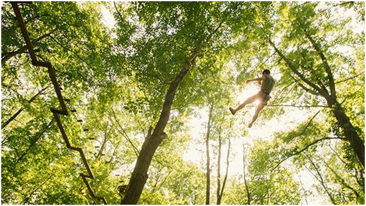 (Go Ape Facebook photo)