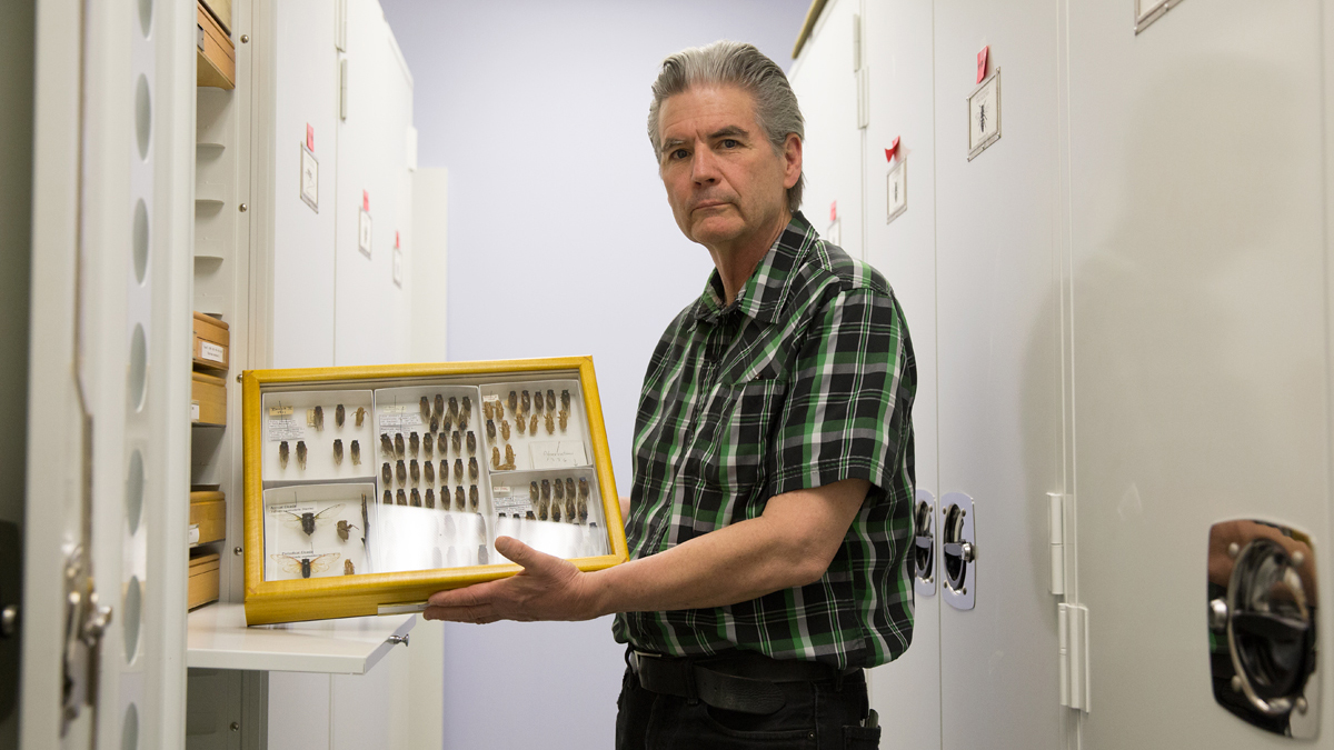  Greg Cowper, Curatorial Assistant at the Drexel Academy of Natural Sciences will give a lecture on the Eastern State Penitentiary collection on Monday, September 9, 2013.  (Lindsay Lazarski/WHYY)  