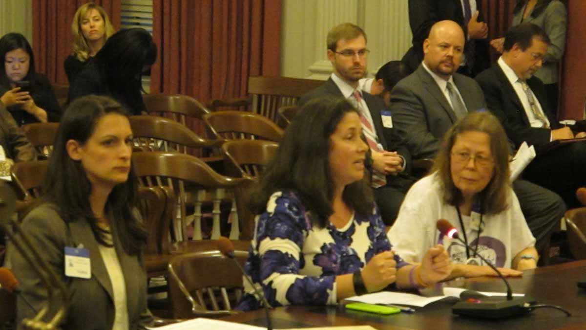  Representatives of women’s groups testify in favor of the gun-control measure at an Assembly Law and Public Safety Committee hearing. (Phil Gregory/WHYY) 
