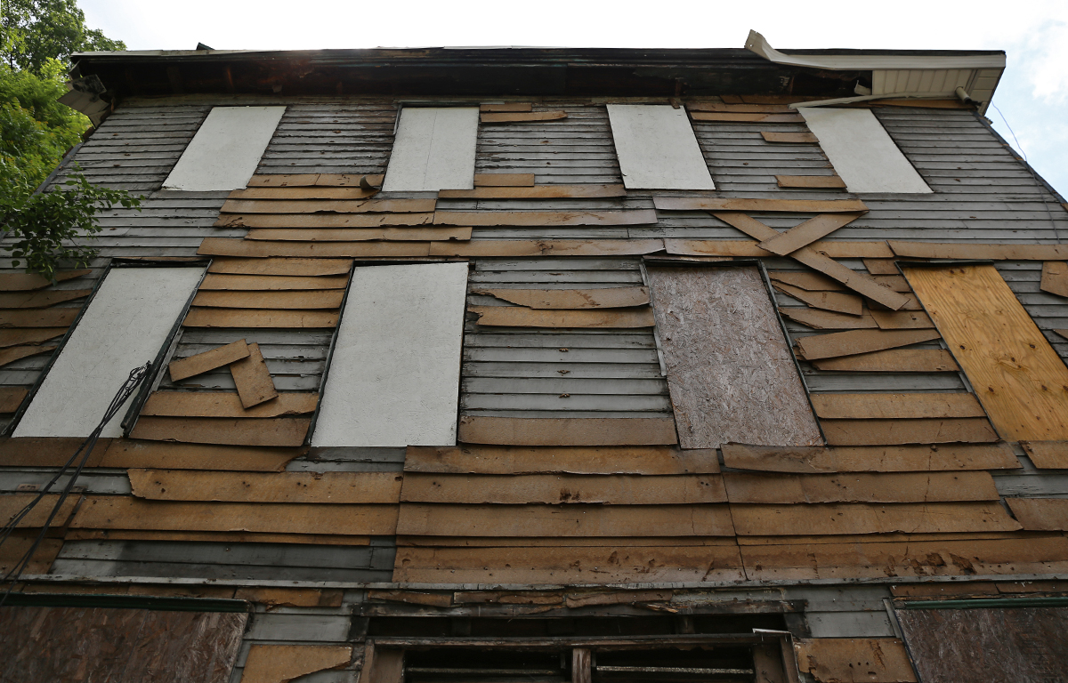 hbg blight