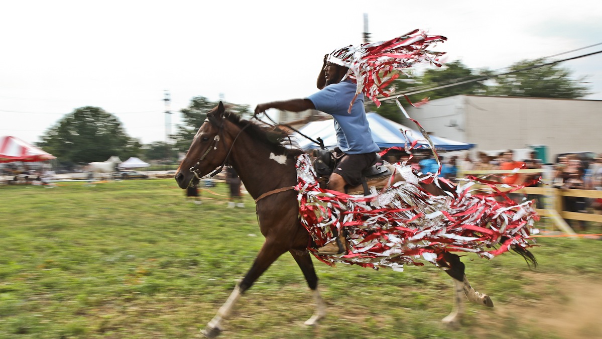 Artists Max Lussenhop and Billy Dufala are responsible for the costume Leroy Jordan's horse Rosie is wearing. (Kimberly Paynter/WHYY)