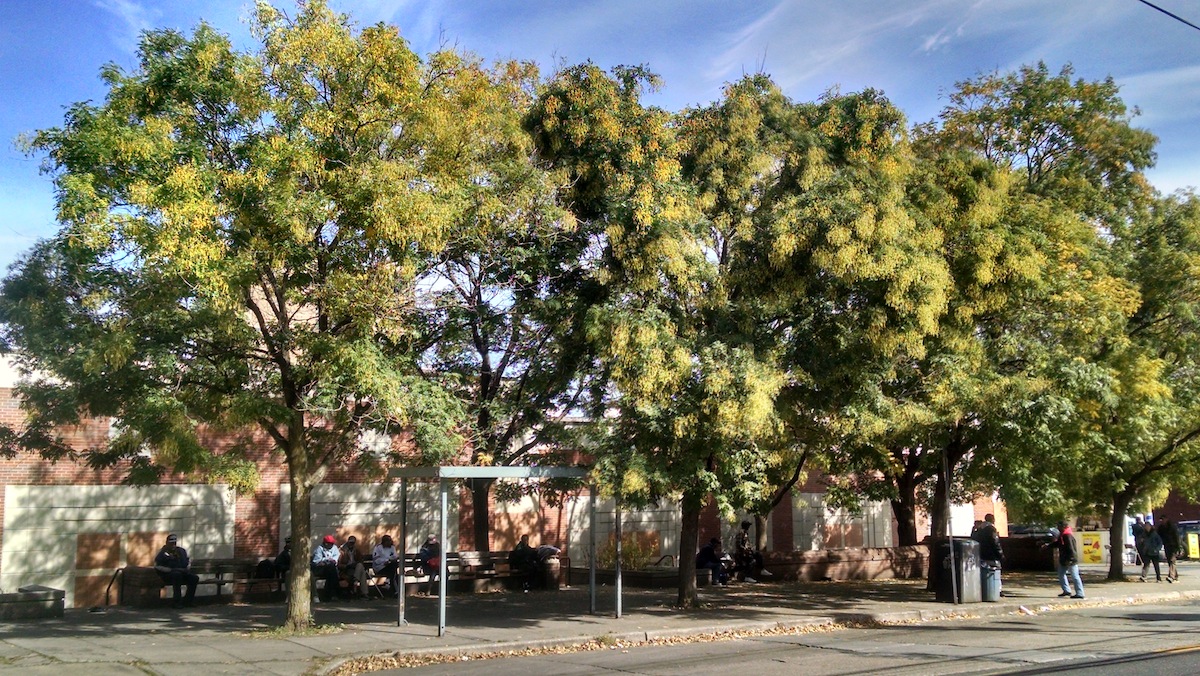  The GSSD will meet with representatives of the Mayor's Office of Transportation and Utilities on Oct. 30 to discuss the renovation of the bus stop at W. Chelten Ave. and Greene St. (Daniel Pasquarello/for NewsWorks) 