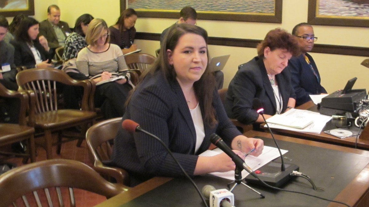 Jackie Cornell-Bechelli, regional director of the U.S Department of Health and Human Services, briefs members of the New Jersey Senate Health Exchange Task Force. (Phil Gregory/WHYY)  
