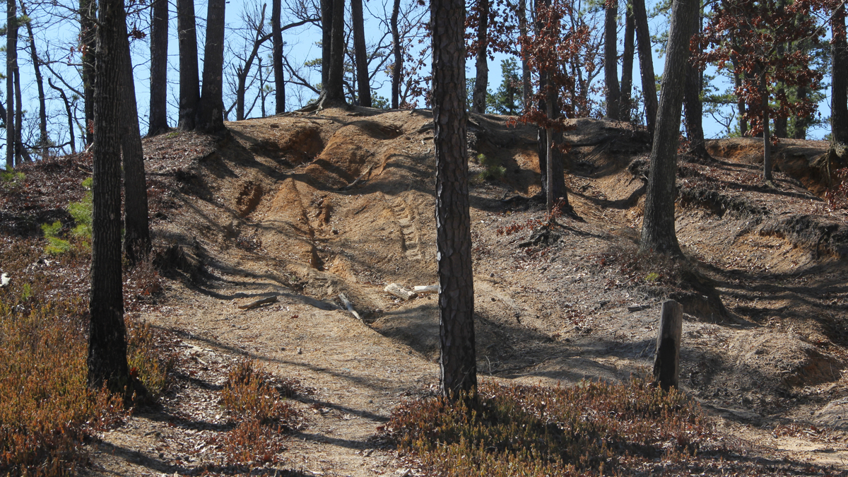 Jemima Mount in Wharton State Forest