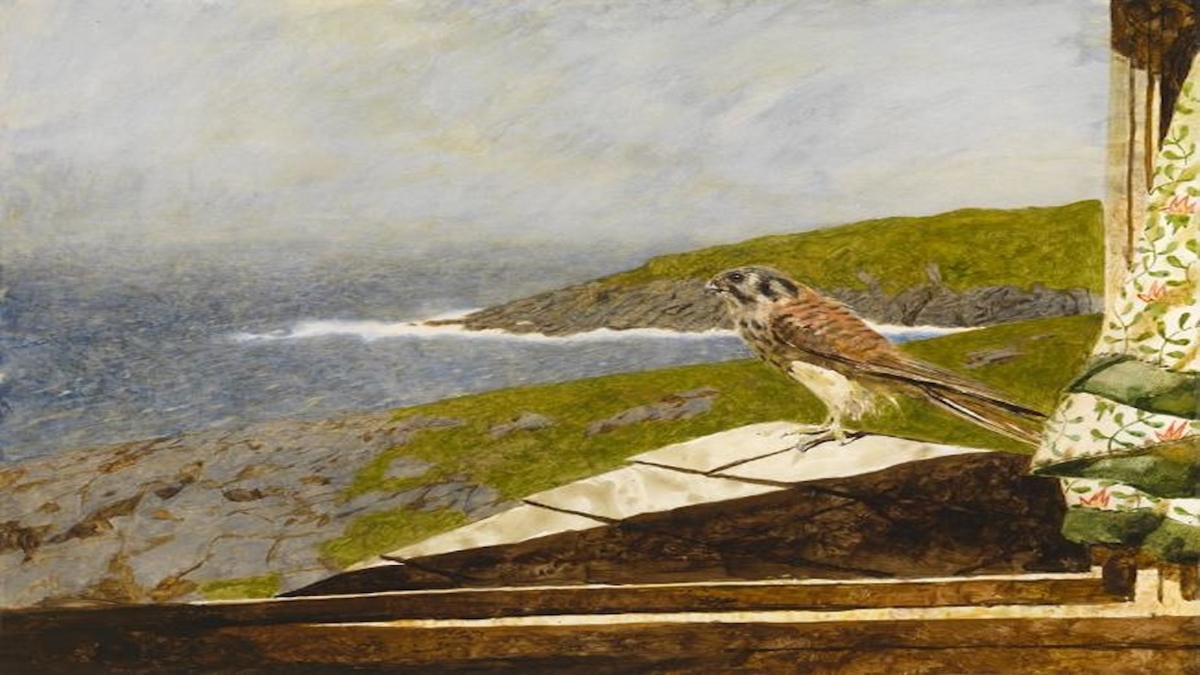  Kestrel, a 1985 painting by Jamie Wyeth, is on display at the Somerville Manning Gallery. 