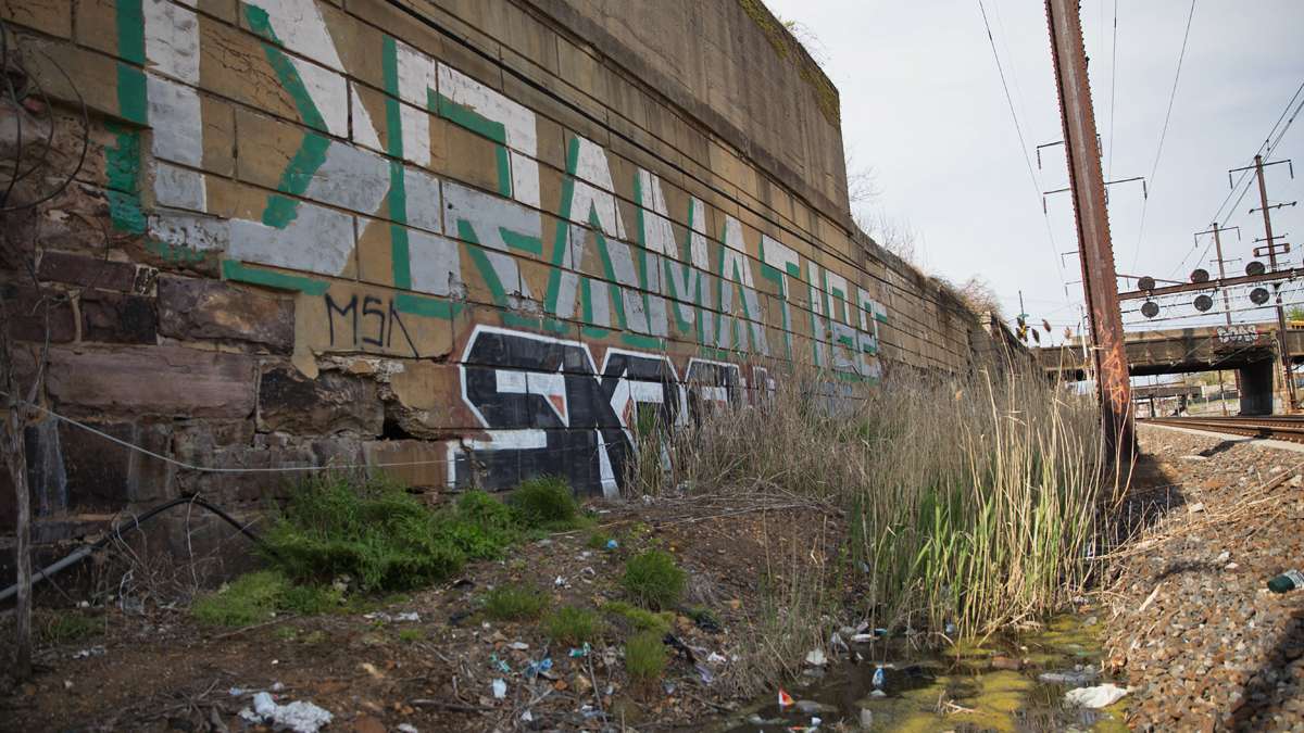  German artist Katharina Grosse sprayed huge swathes of color, and the Pennsylvania Horticultural Society will plant fields of wildflowers, along the rail corridor between 30th Street Station and North Philadelphia Station to draw attention to the need to redevelop the abandoned post-industrial area. (Lindsay Lazarski/WHYY, file) 