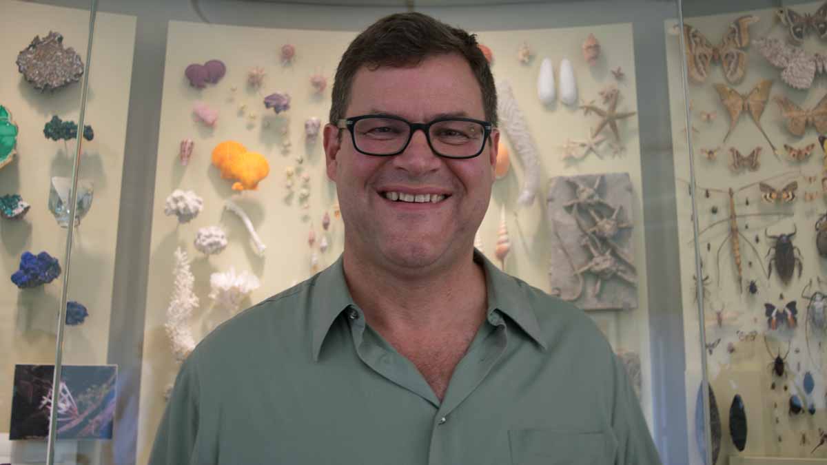 Kirk Johnson, the director of the Smithsonian's National Museum of Natural History, in front of a display case in his office. (Paige Pfleger/WHYY)