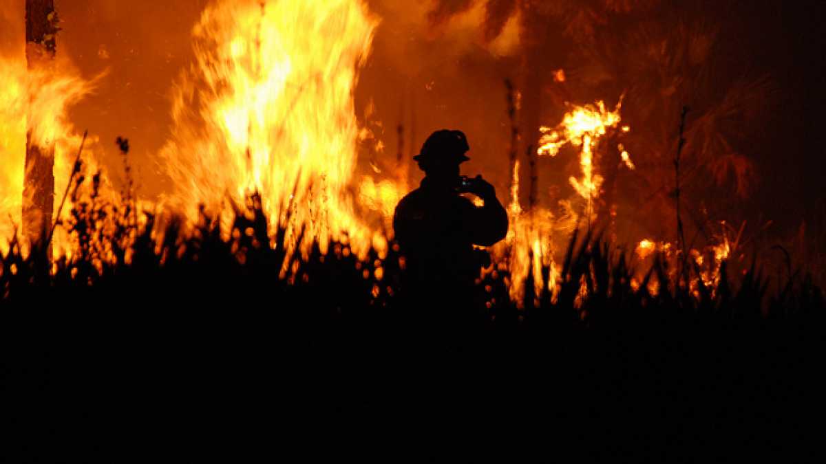 (Photo: Josh O'Connor/US Fish and Wildlife Service)