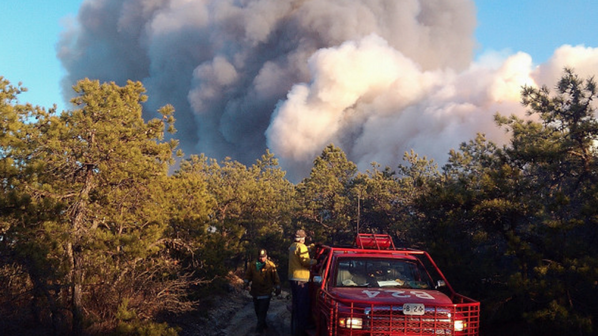  A controlled burn at the Warren Grove Gunnery Range in March 2013. (Image: NJ Forest Fire Service) 