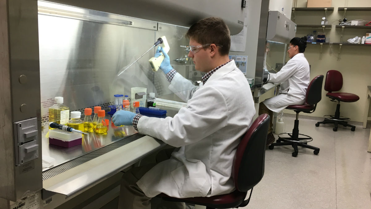 Ph.D. students at the University of Delaware work in a lab at the Delaware Biotechnology Institute in Newark. (Mark Eichmann/WHYY)