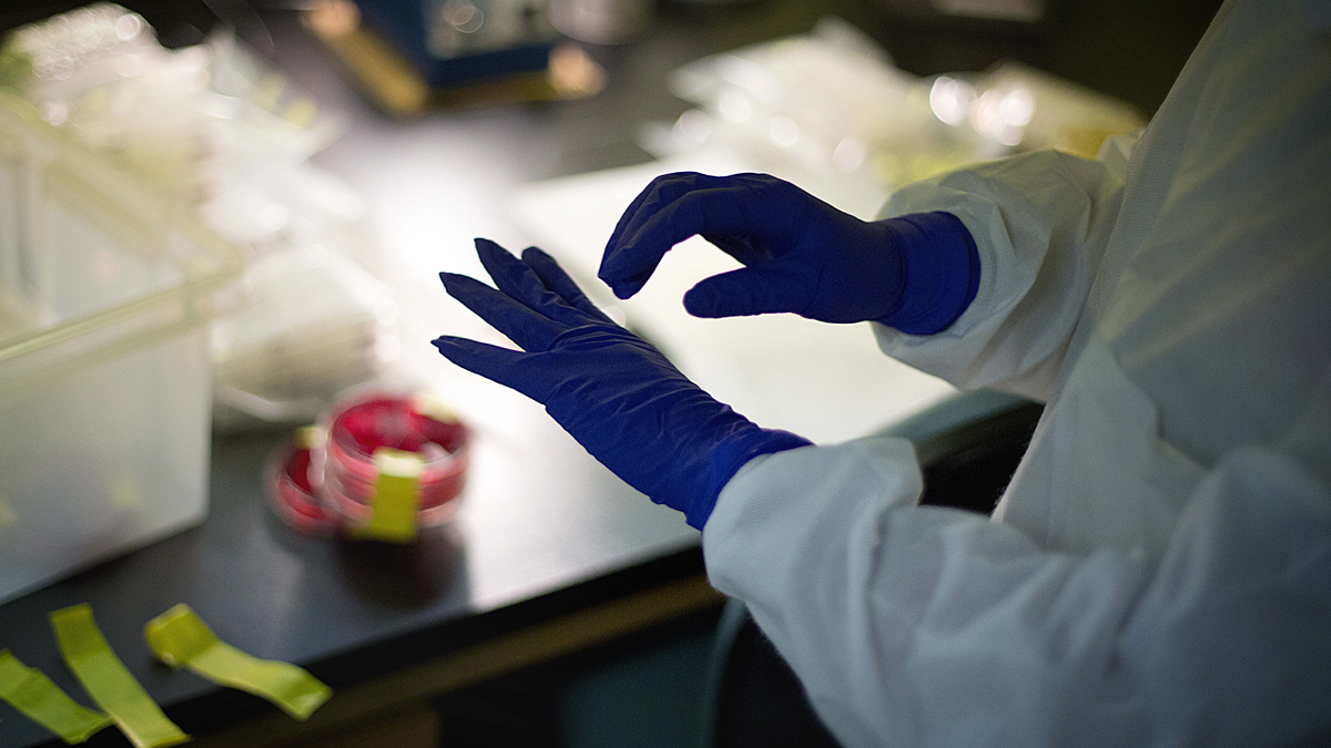  Microbiologist Tatiana Travis reads a panel to check on a bacterium's resistance to an antibiotic in an antimicrobial resistance and characterization lab within the Infectious Disease Laboratory at the federal Centers for Disease Control and Prevention, Monday, Nov. 25, 2013, in Atlanta. (David Goldman/AP Photo) 