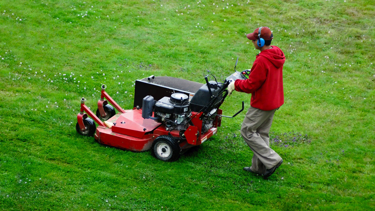 About one in five members of the National Association of Landscape Professions employs workers through the H-2B visa program. (igorot/Bigstock)