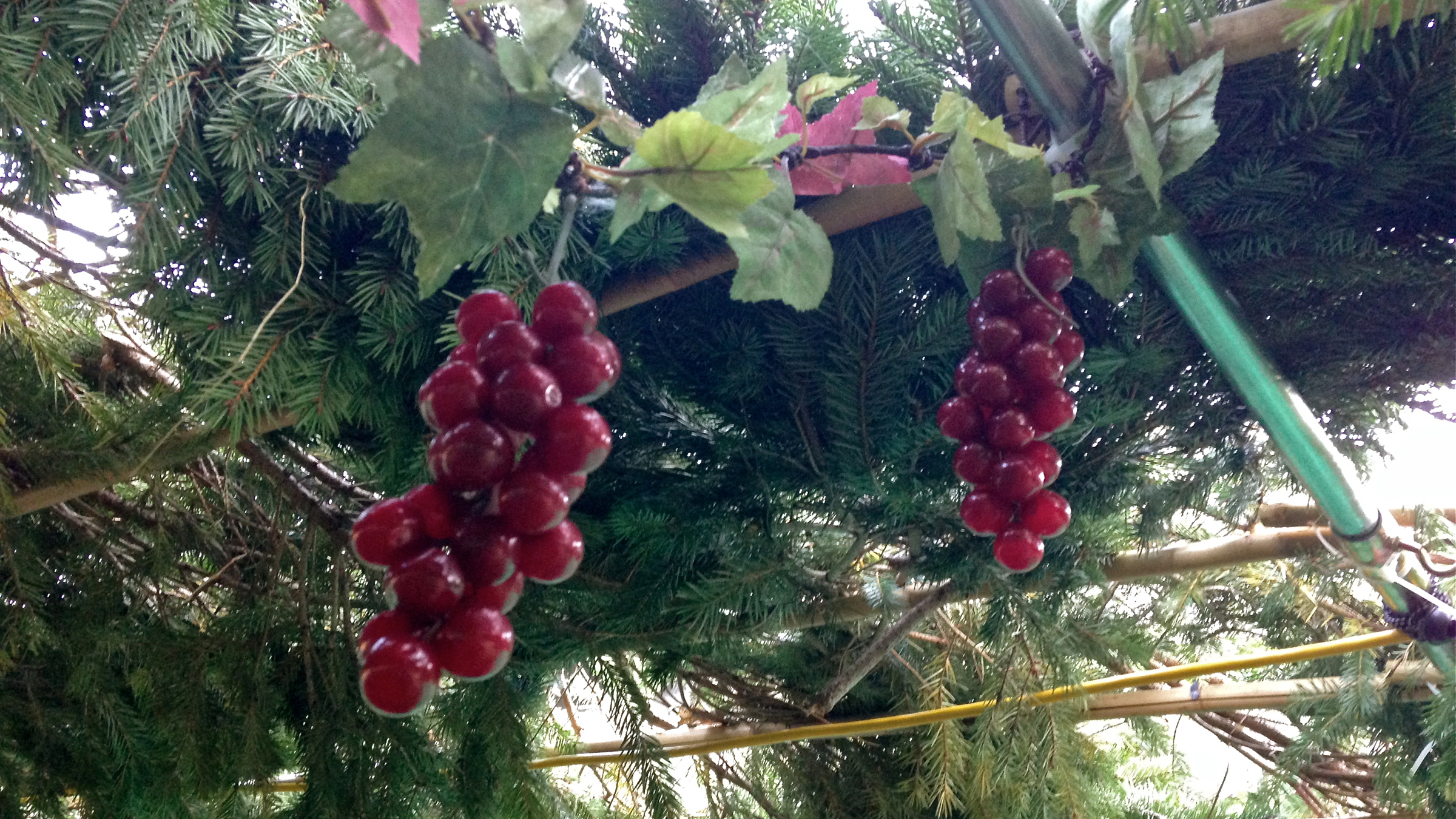 The sukkah ceiling is called the schach and is supposed to have spaces in it so the stars may be viewed at night. (Jennifer Lynn/WHYY)