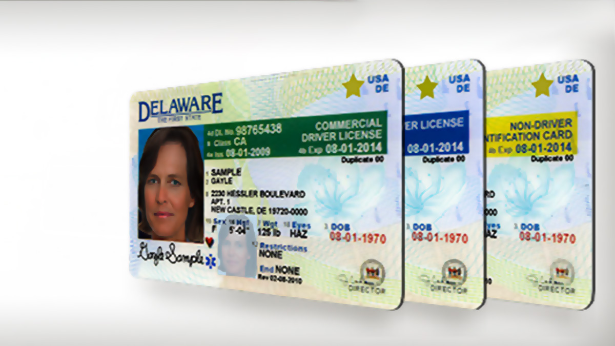 A number of Delaware licenses are shown