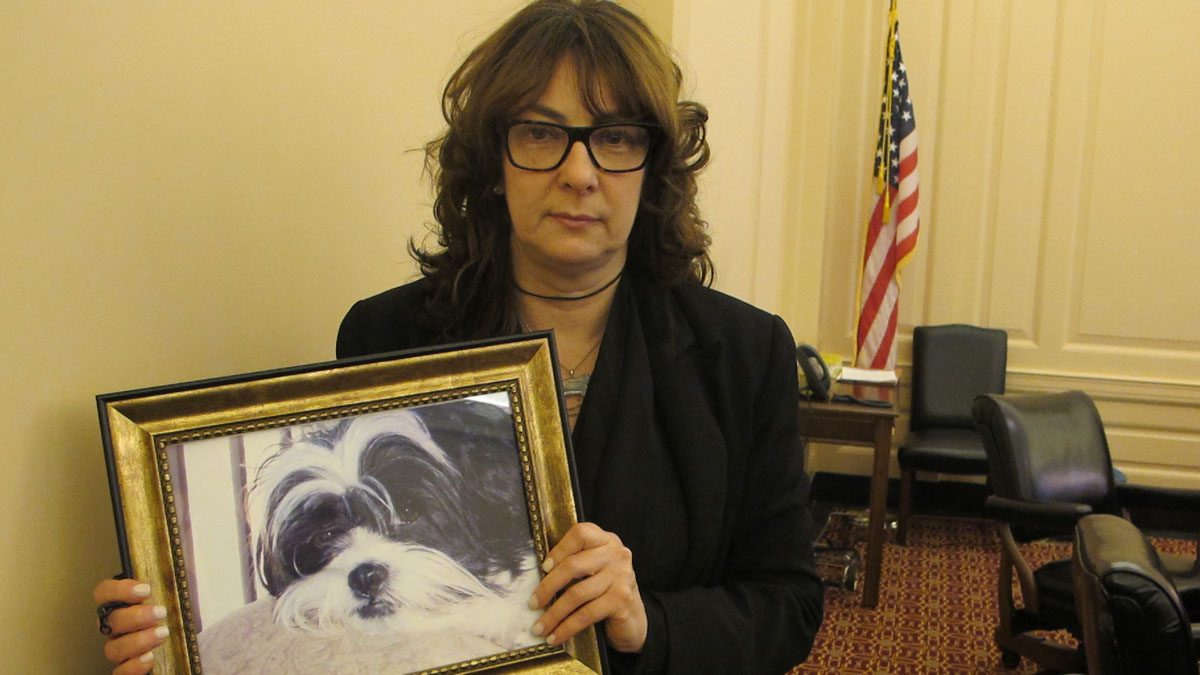  Rosemary Marchetto is urging New Jersey lawmakers to pass Bijou's Law, named in honor of her deceased dog, requiring pet groomers to be licensed. (Phil Gregory/WHYY) 