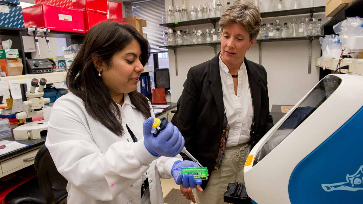 Wistar Institute principal investigator Maureen Murphy