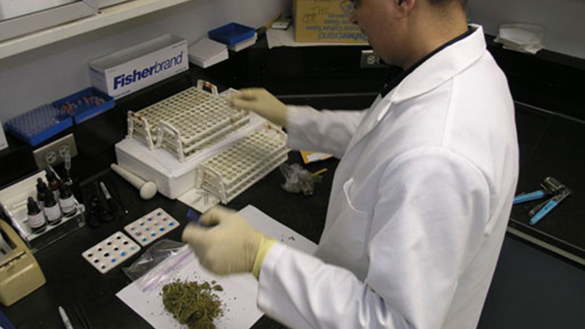  (Photo courtesy of DHSS)  