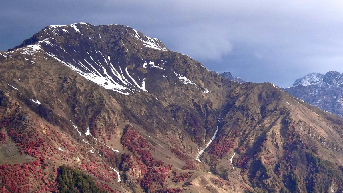  For all the range shapes except pyramid, land availability can be greater at higher elevations than it is farther down the mountainside. Those ranges, such as the Himalayas, shown here, are formed by a series of slopes that rise to open plateaus situated at the base of yet more slopes. (Photo by Paul Elsen/Princeton University Department of Ecology and Evolutionary Biology) 