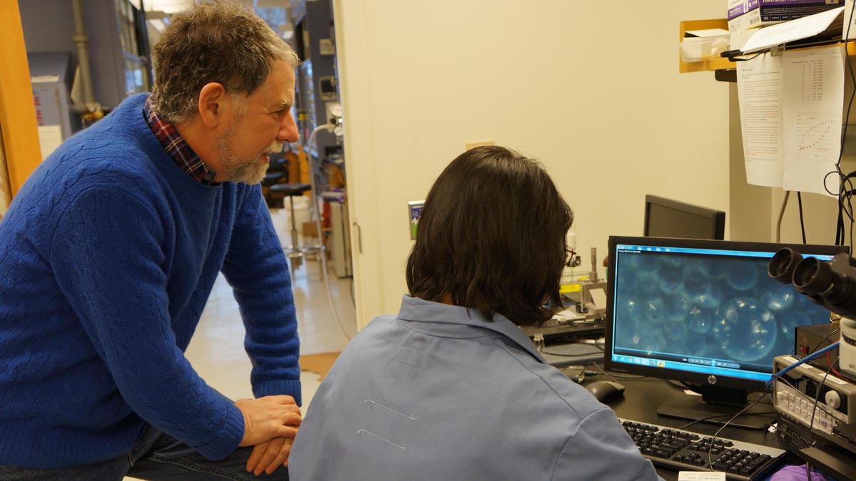 Tom Mallouk and his team at Penn State University have built nanomotors that fit - and bounce around- inside living human cells.
(Photo courtesy of Mallouk Lab