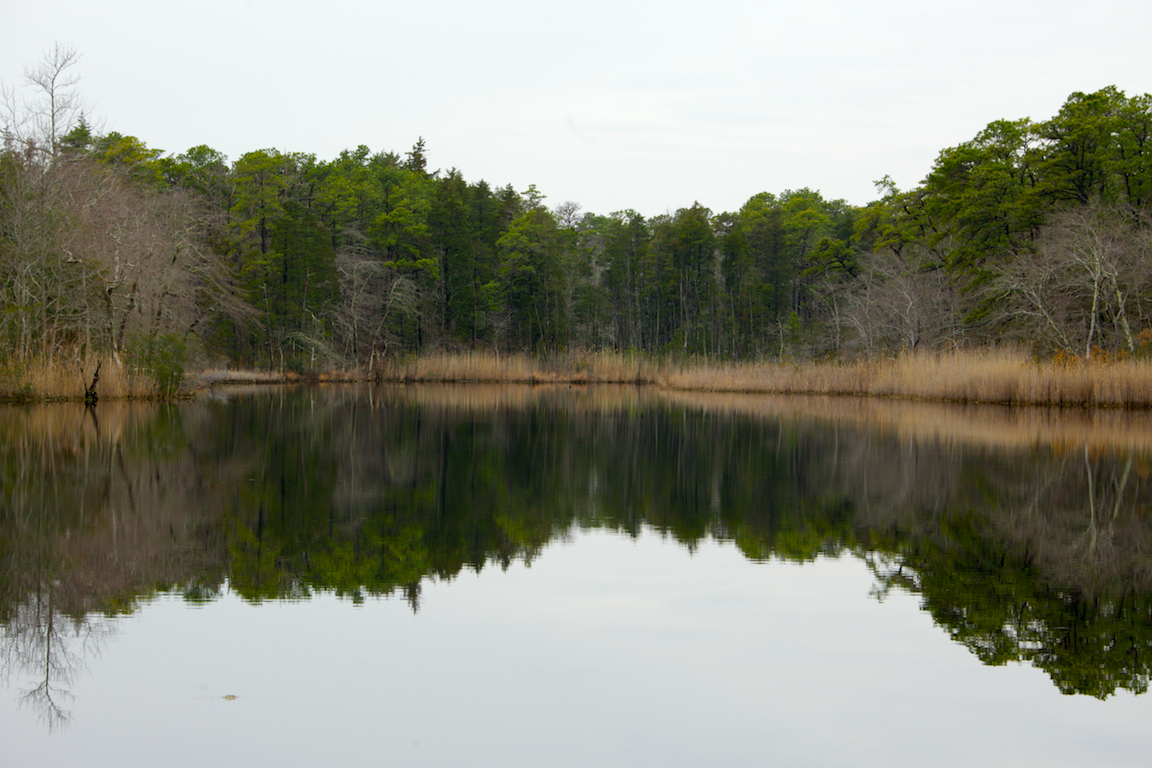  Preserved land along Great Egg Harbor River in New Jersey. (Nathaniel Hamilton/for NewsWorks) 