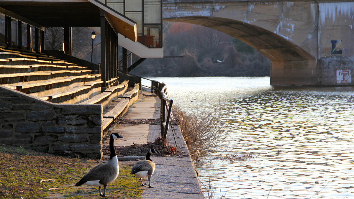 The Schuylkill River