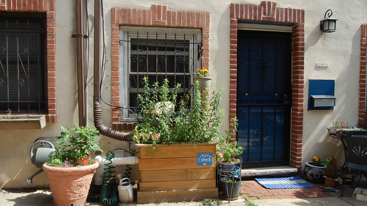 A RainCheck downspout planter in action