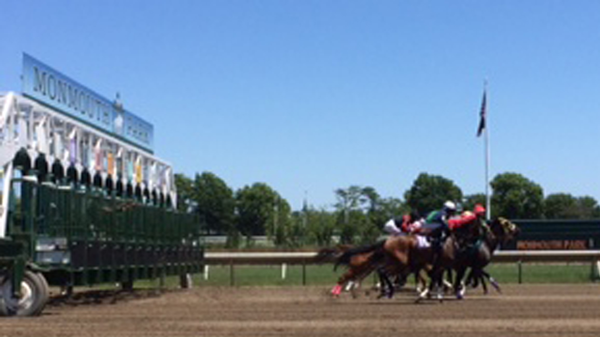  Horses leaving the starting gate at Monmouth Park (Phil Gregory/WHYY) 