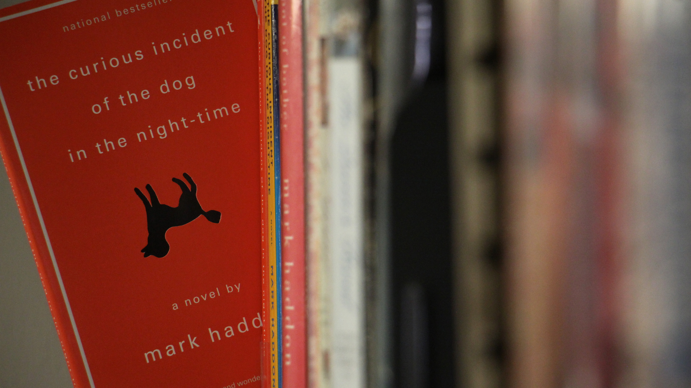 The 2003 novel 