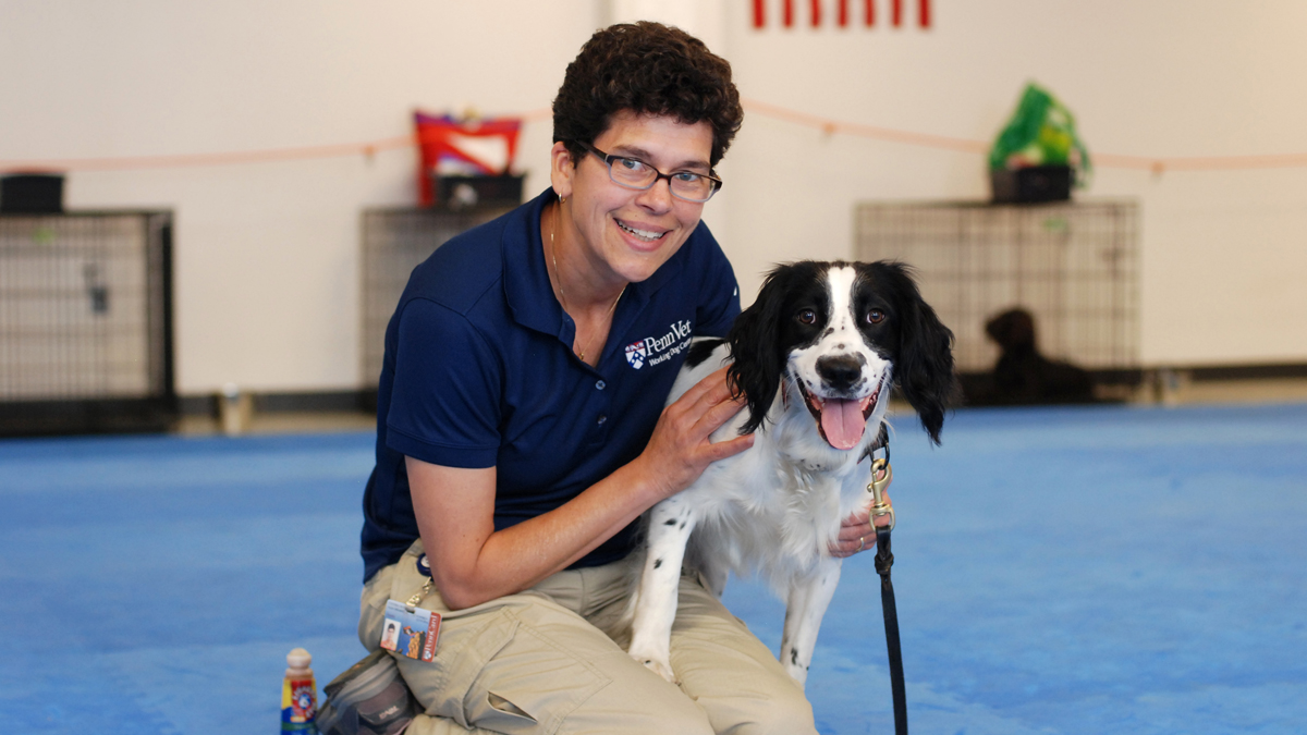 Dr. Cindy Otto