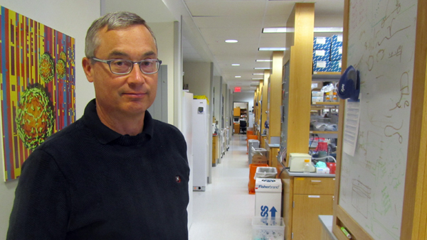  Rick Bushman is a microbiologist at the University of Pennsylvania studying the human microbiome in hopes of better understanding the role of microbes in human health. (Elana Gordon/WHYY) 
