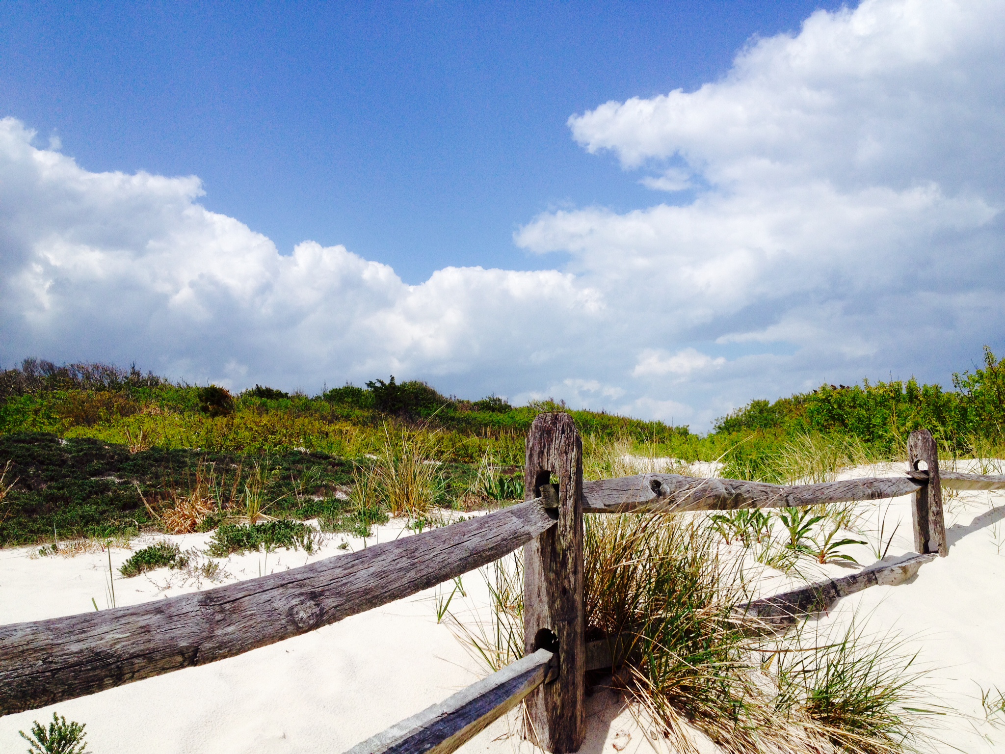  Island Beach State Park. (Photo: Justin Auciello/for NewsWorks) 