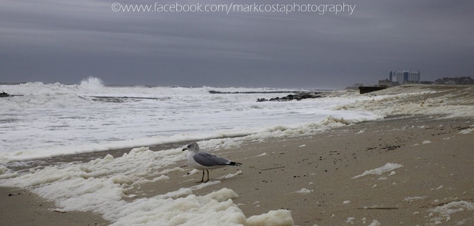 Beach erosion during Friday afternoon's high tide at Seven Presidents Oceanfront Park in Long Branch. (Photo: Mark A. Costa/Mark Costa Photography via Jersey Shore Hurricane News) 