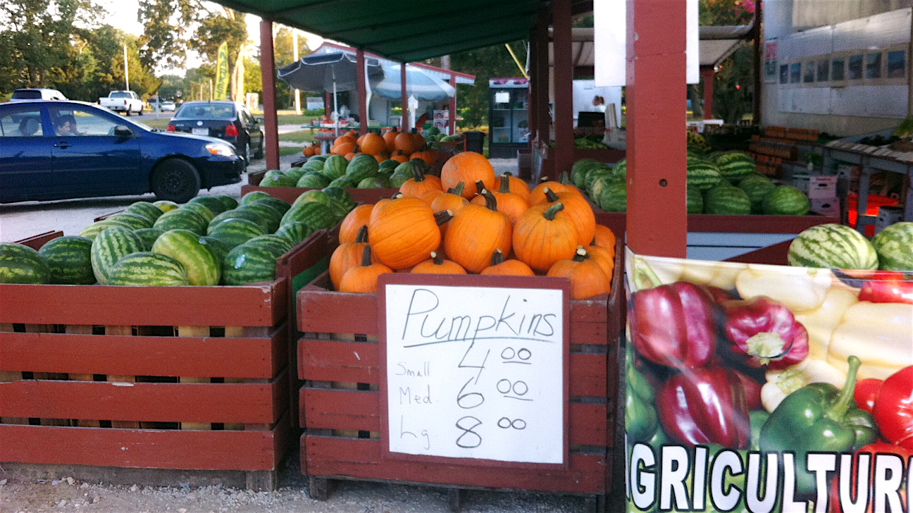  If you needed a reminder that autumn is just around the corner, this first batch of pumpkins at Myers Farms in Goshen will do the trick. / Photo by Amy Z. Quinn 