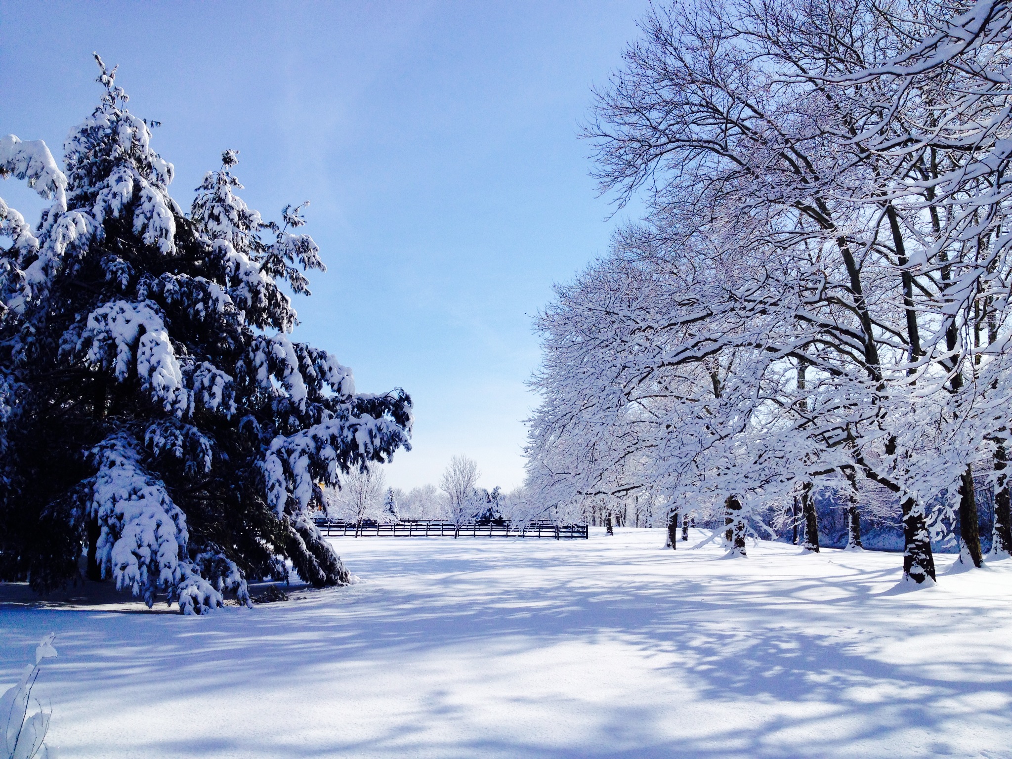  Tuesday morning outside New Brunswick, NJ. (Justin Auciello/for NewsWorks) 