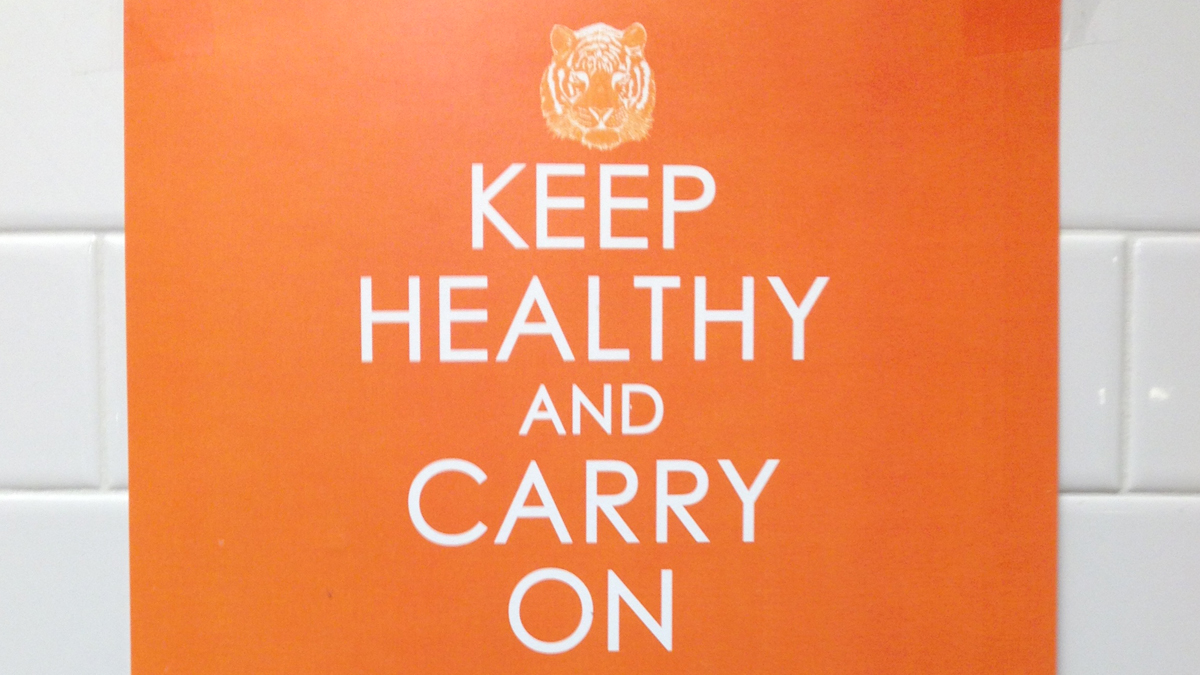  A detail of a poster discouraging the spread of meningitis is shown. (Image courtesy of Charles Fortin, Princeton University) 