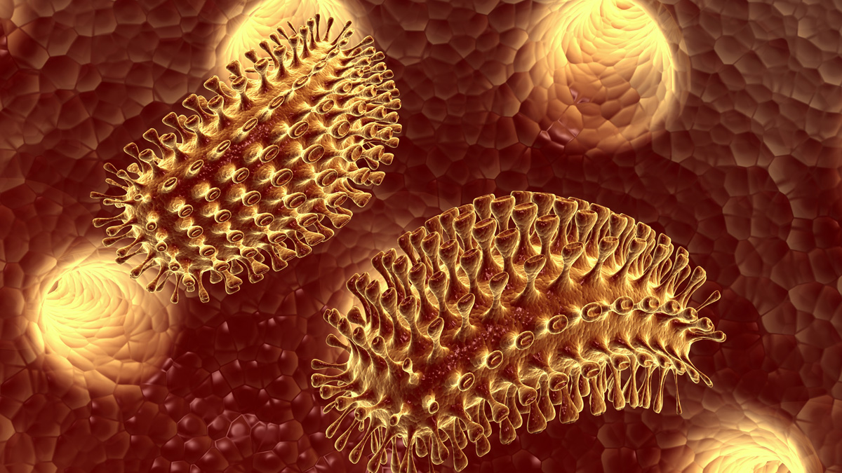 The rabies virus. A Delaware woman died last week from the disease. It was the first human case in the state since a boy died in 1941. (Via shutterstock)