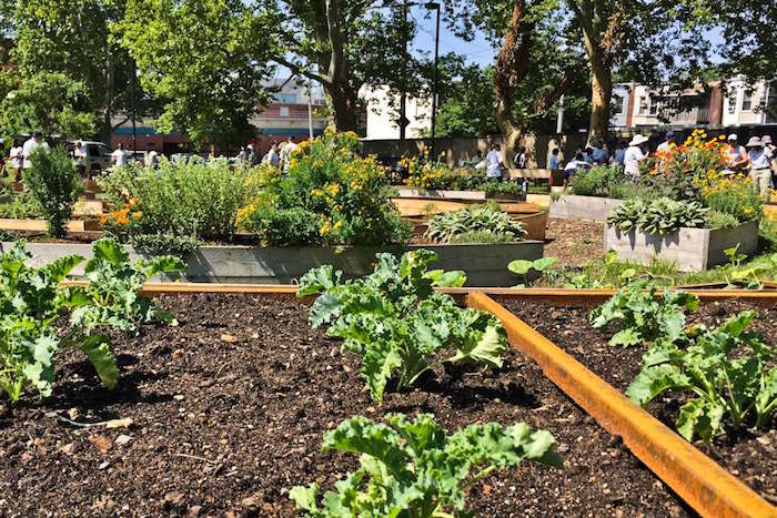 a community garden