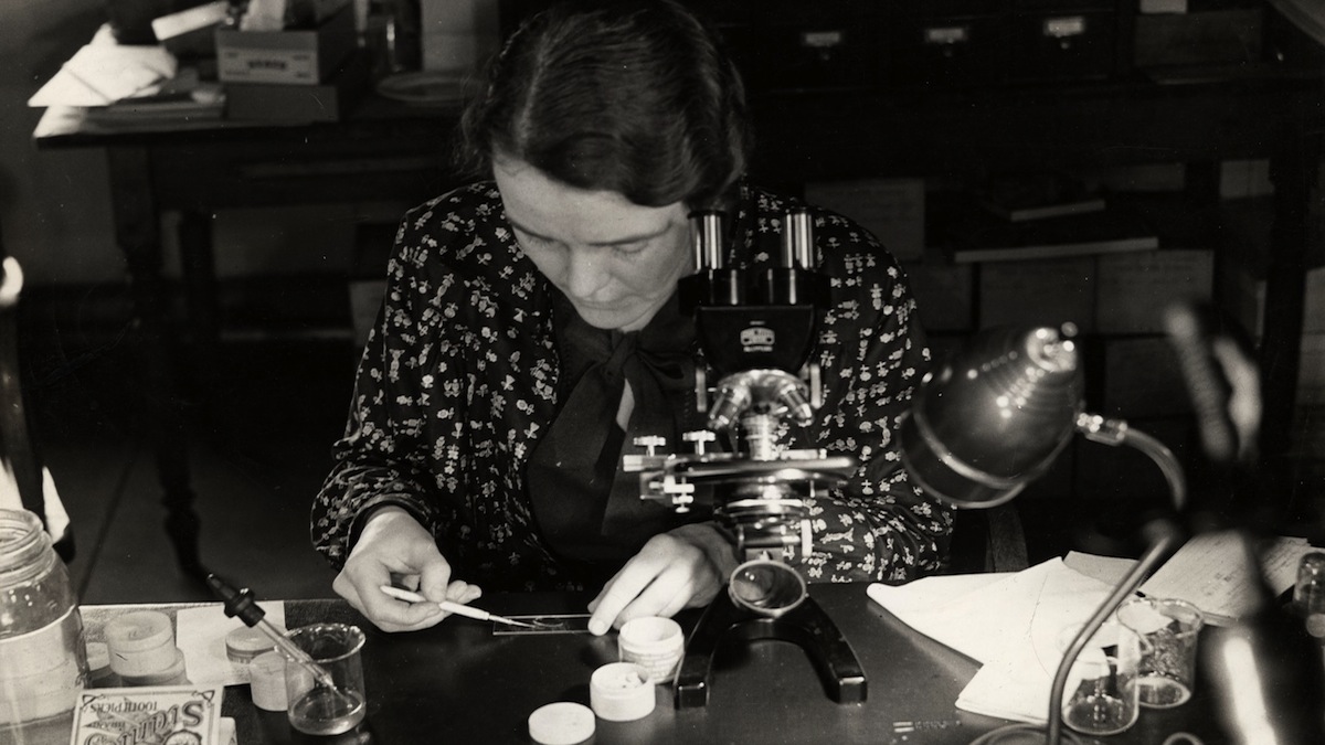  Dr. Ruth Patrick examines diatom slides at the Academy of Natural Sciences in the 1940s. (Courtesy of the Academy of Natural Sciences Archive) 