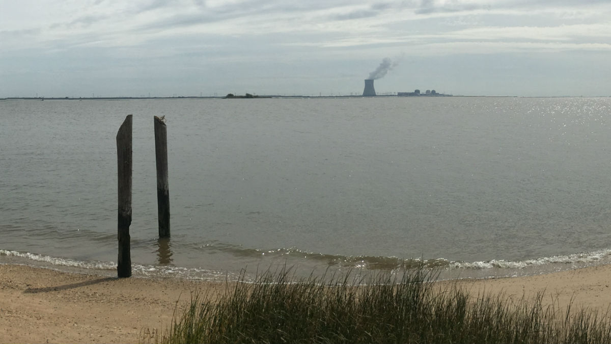 The Salem Hope Creek nuclear power plant in New Jersey seen from the Delaware side of the river. This is close to where a proposed underwater powerline would be buried in the river. (Mark Eichmann/WHYY)