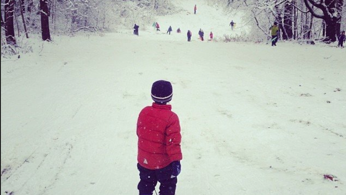  The view from Tommy's Hill. (Courtesy of Lisa Hurwitz) 