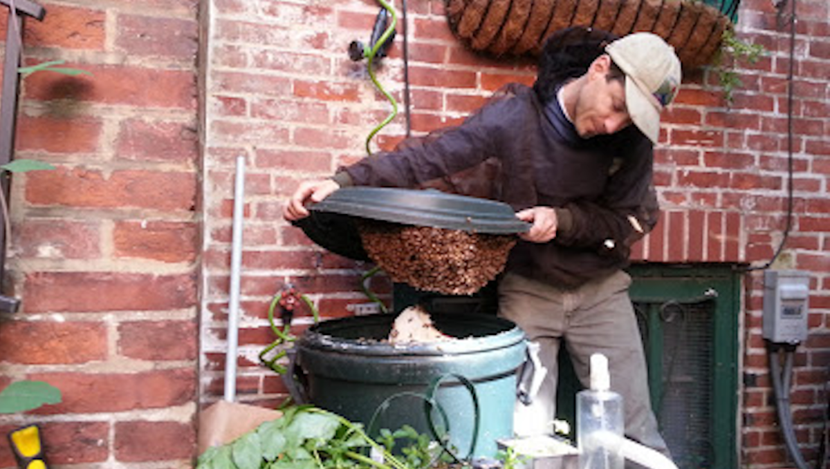  Adam Schreiber collects a swarm. (Photo courtesy of Adam Schreiber) 