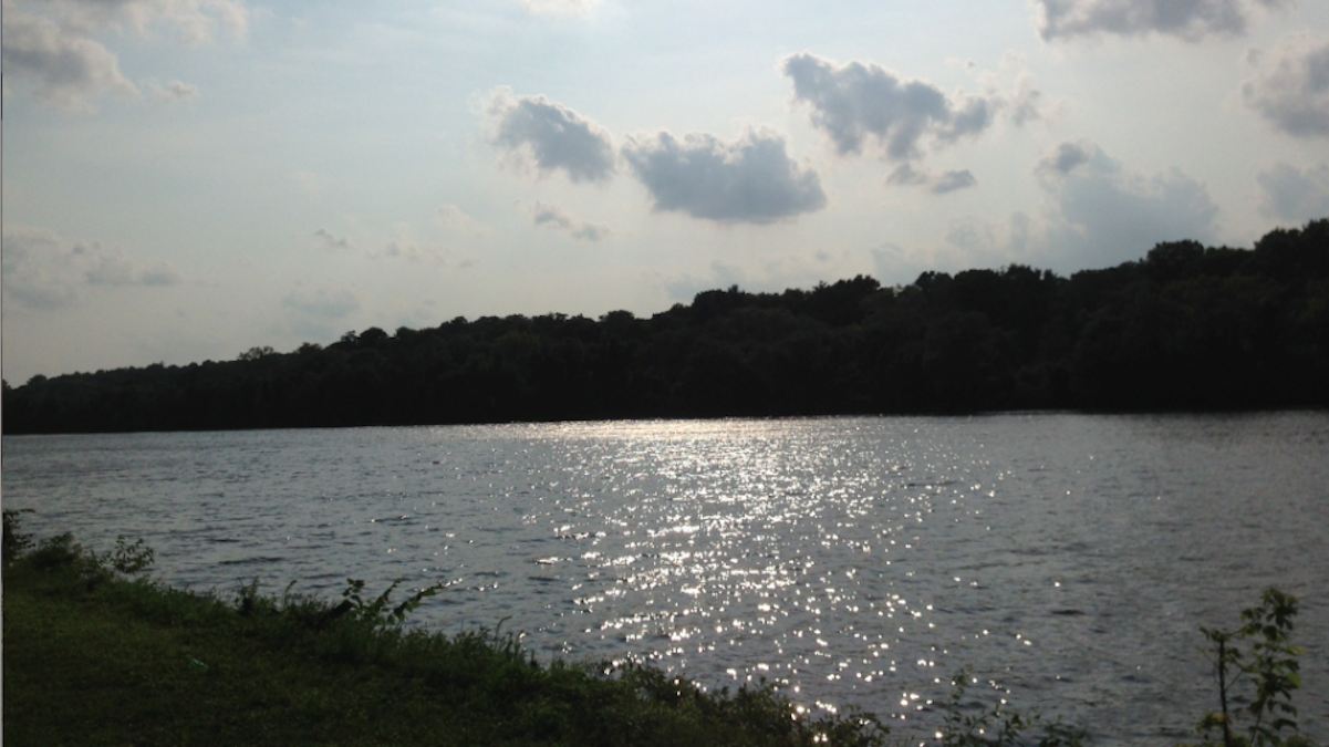  On Saturday, the Schuylkill River will host the Philadelphia Youth Regatta. (Brian Hickey/WHYY) 