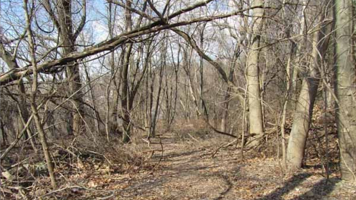  A developer's nine-year attempt to construct housing on this strip of green space in Roxborough has devolved into a court battle. (NewsWorks, file art) 