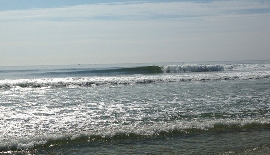  9:30 a.m. Tuesday in South Seaside Park. (Photo: Mike Sica) 
