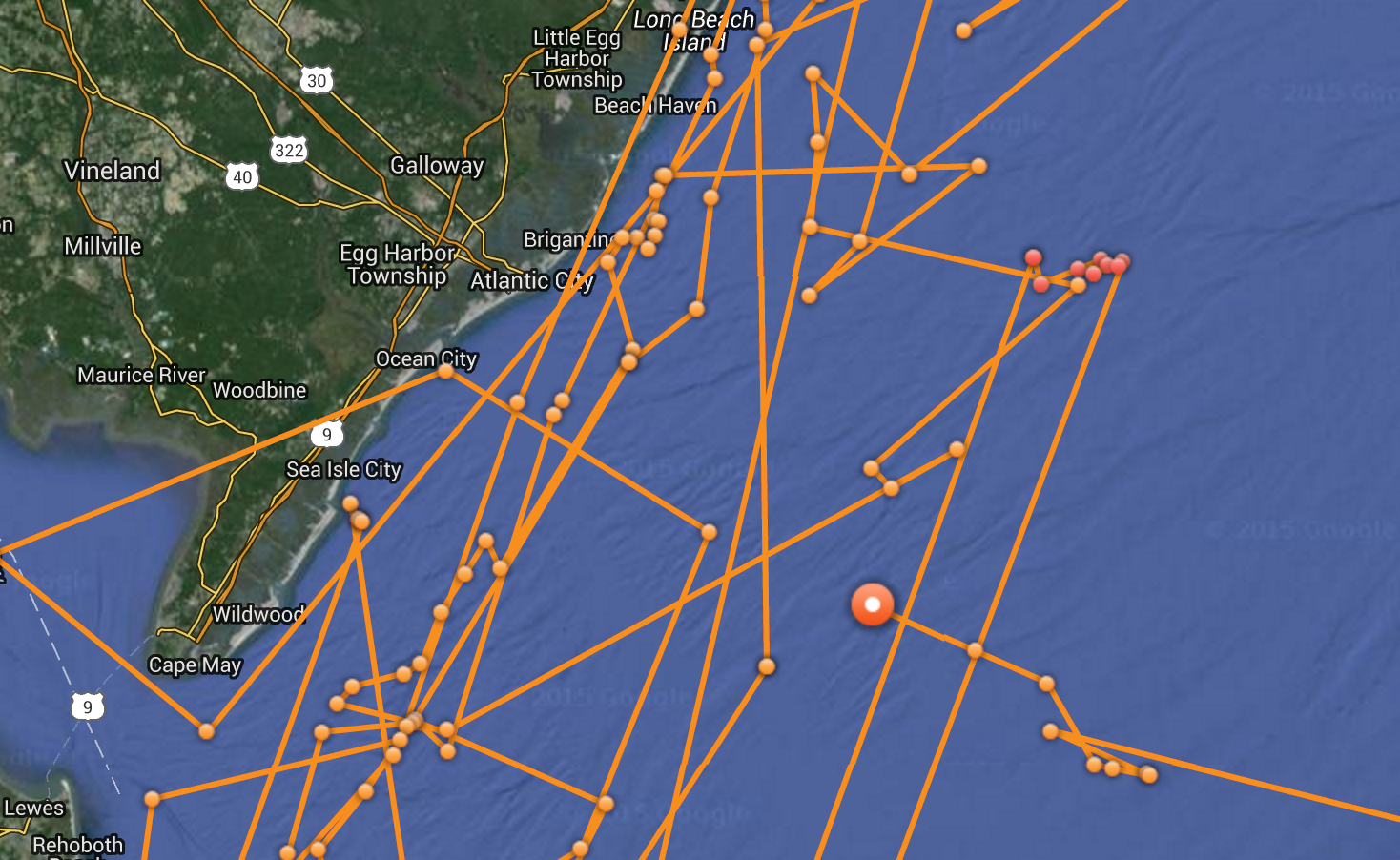 Mary Lee's track today. (Image: OCEARCH)