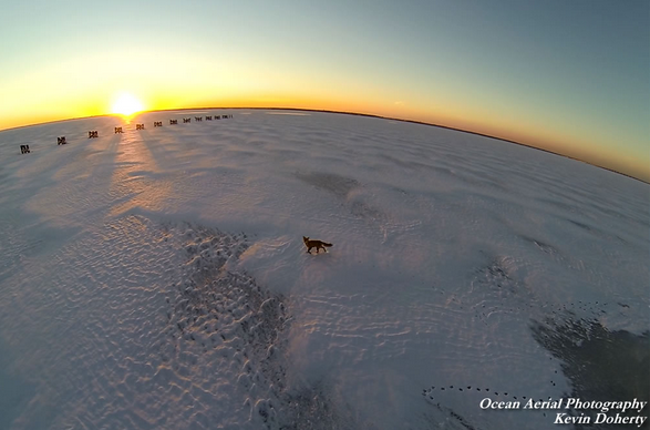  A foxy, frozen sunset. (Image courtesy of Kevin Doherty/Ocean Aerial Photography) 