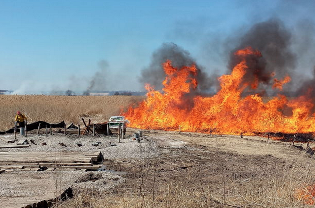  New Jersey Forest Fire Service crews from A7 and B10 divisions conduct 